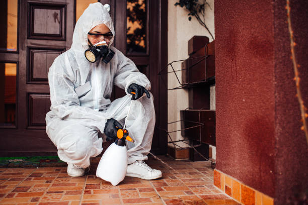 Attic and Crawl Space Rodent Treatment in Helena